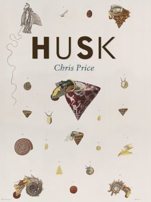 cover image of HUSK